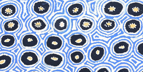 Alice Nampitjinpa Dixon 02012 Rock Holes near Kintore 121cm x 61cm original Australian Aboriginal artwork at Tingari Arts detail view