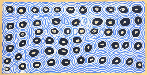 Alice Nampitjinpa Dixon 02012 Rock Holes near Kintore 121cm x 61cm original Australian Aboriginal artwork at Tingari Arts horizontal view