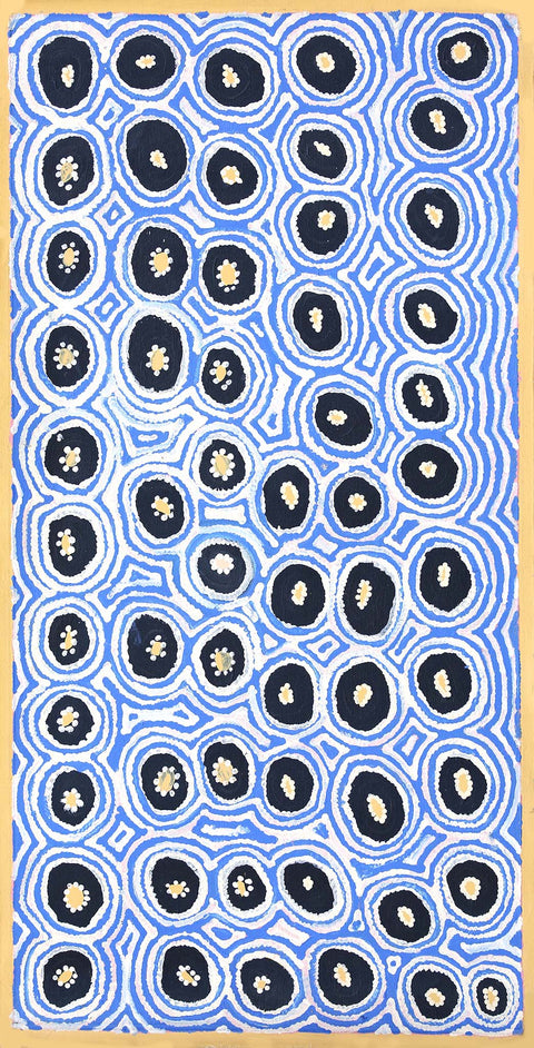 Alice Nampitjinpa Dixon 02012 Rock Holes near Kintore 121cm x 61cm original Australian Aboriginal artwork at Tingari Arts vertical view