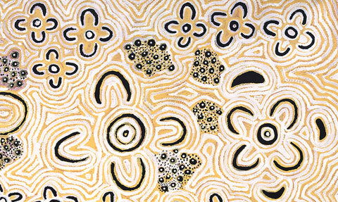 Alice Nampitjinpa Dixon MKAN02014 Bush Tomato bush tucker 153cm x 91cm original Australian Aboriginal artwork at Tingari Arts detail view 001