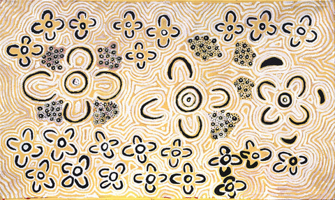 Alice Nampitjinpa Dixon MKAN02014 Bush Tomato bush tucker 153cm x 91cm original Australian Aboriginal artwork at Tingari Arts horizontal view 001
