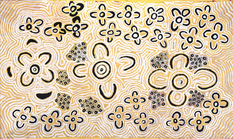 Alice Nampitjinpa Dixon MKAN02014 Bush Tomato bush tucker 153cm x 91cm original Australian Aboriginal artwork at Tingari Arts horizontal view 002