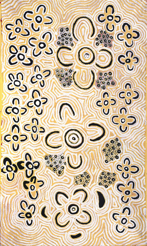 Alice Nampitjinpa Dixon MKAN02014 Bush Tomato bush tucker 153cm x 91cm original Australian Aboriginal artwork at Tingari Arts vertical view 002