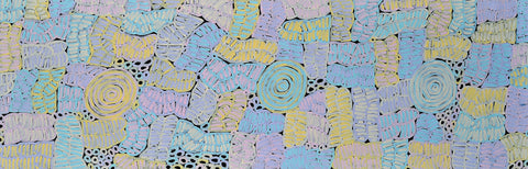 Betty Mbitjana Club TBCM 1304 Awelye 183cm x 61cm original Australian Aboriginal artwork at Tingari Arts horizontal view 001