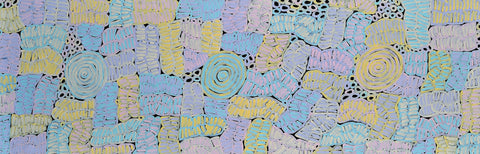 Betty Mbitjana Club TBCM 1304 Awelye 183cm x 61cm original Australian Aboriginal artwork at Tingari Arts horizontal view 002