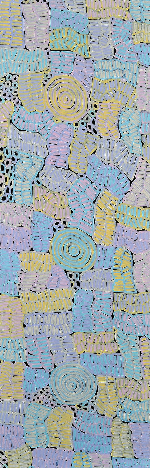 Betty Mbitjana Club TBCM 1304 Awelye 183cm x 61cm original Australian Aboriginal artwork at Tingari Arts vertical view 001