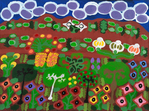 Daisy Napaltjarri Jugadai TDNJ50337 Meeenie - Haasts Bluff country 121cm x 91cm original Australian Aboriginal artwork at Tingari Art horizontal view 001