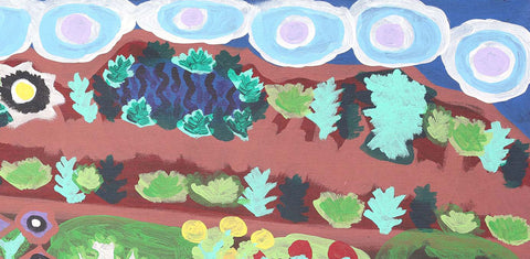 Haasts Bluff | 100cm x 50cm | TDNJ 601