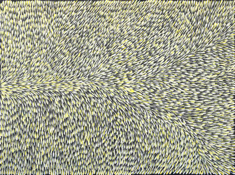 Gloria Tamerre Petyarre TGP432 Leaves Blowing in the Wind, Bush Medicine 121cm x 91cm original Australian Aboriginal artwork at Tingari Arts horizontal view