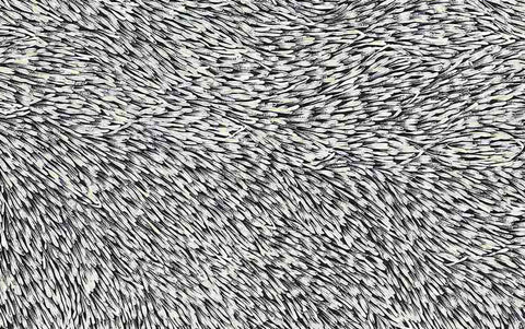 Gloria Tamerre Petyarre TGP501 Leaves Blowing in the Wind, Bush Medicine 304.8cm x 183cm original Australian Aboriginal artwork at Tingari Arts detail view