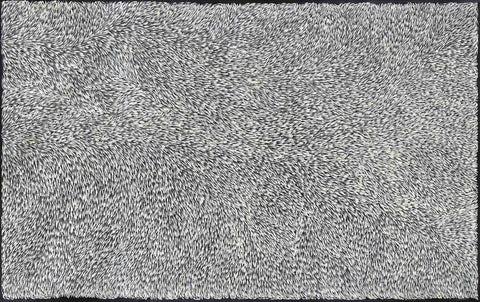 Gloria Tamerre Petyarre TGP501 Leaves Blowing in the Wind, Bush Medicine 304.8cm x 183cm original Australian Aboriginal artwork at Tingari Arts horizontal view