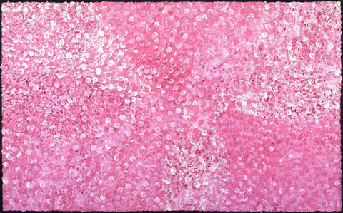 Josie (Josepha) Petrick Kemarre TJP 1007-7 Bush Flowers and Plum 153 x 91cm original Australian Aboriginal artwork at Tingari Arts horizontal view 001