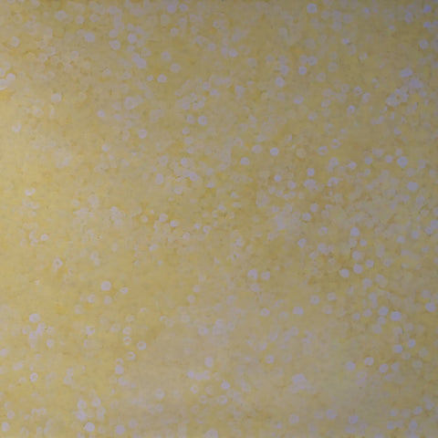 Josie Josepha Petrick Kemarre TJP1009-11 Bush Flowers and Plum 120cmx120cm original Australian Aboriginal artwork at Tingari Arts 001