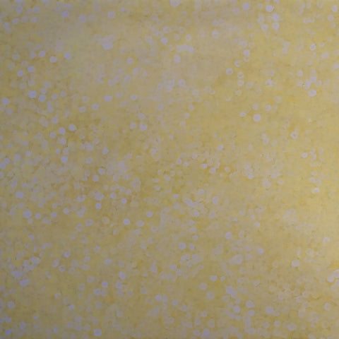 Josie Josepha Petrick Kemarre TJP1009-11 Bush Flowers and Plum 120cmx120cm original Australian Aboriginal artwork at Tingari Arts 002
