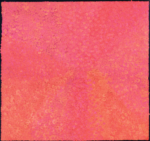 Josie Josepha Petrick Kemarre TJP1202-5 Bush Flowers and Plum 127cm x 121cm original Australian Aboriginal artwork at Tingari Arts horizontal view 001