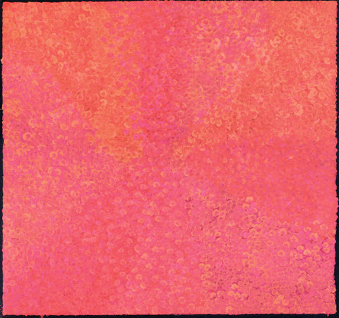 Josie Josepha Petrick Kemarre TJP1202-5 Bush Flowers and Plum 127cm x 121cm original Australian Aboriginal artwork at Tingari Arts horizontal view 002