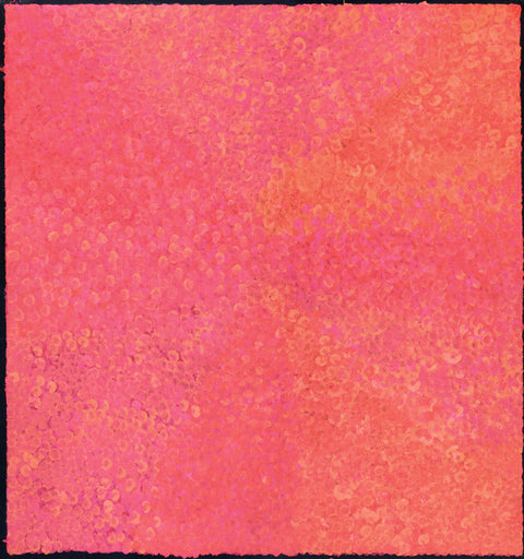 Josie Josepha Petrick Kemarre TJP1202-5 Bush Flowers and Plum 127cm x 121cm original Australian Aboriginal artwork at Tingari Arts vertical view 001