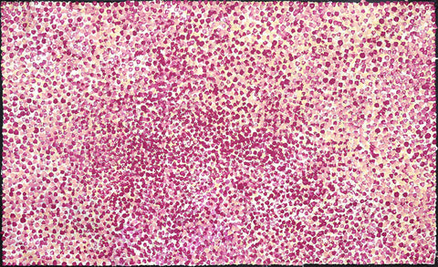 Josie Josepha Petrick Kemarre TJP1401-1 Bush Flowers and Plum 153cm x 91cm original Australian Aboriginal artwork at Tingari Arts horizontal view