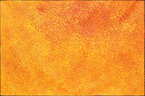 Josie Petrick Kemarre TJP1601-8 Bush Flowers and Plum 183cm x 121cm original Australian Aboriginal artwork at Tingari Arts horizontal view