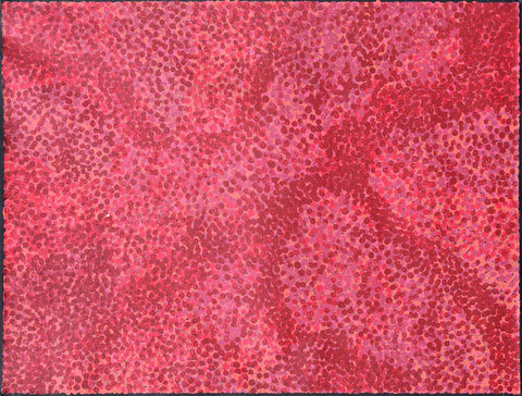 Josie Petrick Kemarre TJP412 Bush Flowers and Plum 121cmx91cm original Australian Aboriginal artwork at Tingari Arts horizontal view 001