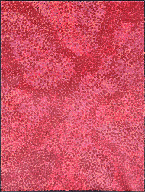 Josie Petrick Kemarre TJP412 Bush Flowers and Plum 121cmx91cm original Australian Aboriginal artwork at Tingari Arts vertical view 002