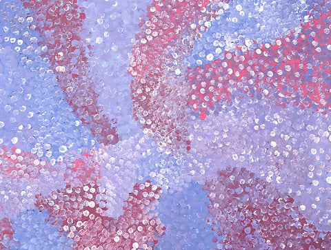 Josie Josepha Petrick Kemarre TJP704 Bush Flowers and Plum 121cm x 91cm original Australian Aboriginal artwork at Tingari Arts detail view