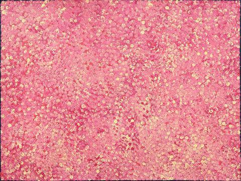Josie Petrick Kemarre TJP804 Bush Flowers and Plum 121cm x 91cm original Australian Aboriginal artwork at Tingari Arts horizontal view