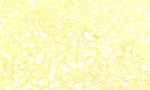 Josie Petrick Kemarre TJP818 Bush Flowers and Plum 153cm x 91cm original Australian Aboriginal artwork at Tingari Arts detail view