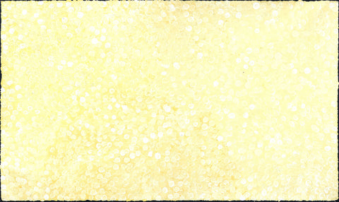 Josie Petrick Kemarre TJP818 Bush Flowers and Plum 153cm x 91cm original Australian Aboriginal artwork at Tingari Arts horizontal view