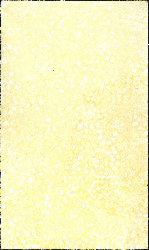 Josie Petrick Kemarre TJP818 Bush Flowers and Plum 153cm x 91cm original Australian Aboriginal artwork at Tingari Arts vertical view