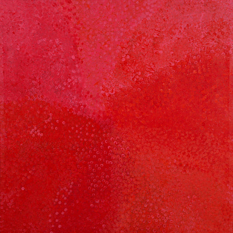 Josie (Josepha) Petrick Kemarre TJP822 No32 Bush Flowers and Plum 121cm x 121cm original Australian Aboriginal artwork at Tingari Arts view 001
