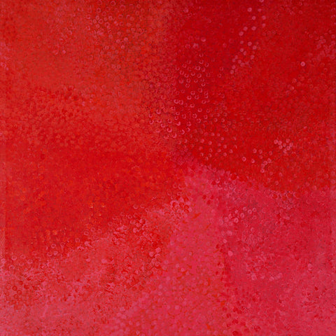 Josie (Josepha) Petrick Kemarre TJP822 No32 Bush Flowers and Plum 121cm x 121cm original Australian Aboriginal artwork at Tingari Arts view 002