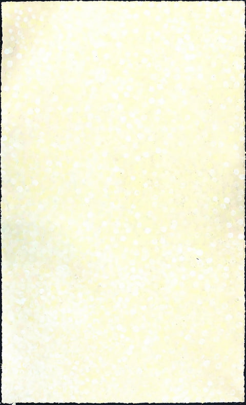 Josie Petrick Kemarre TJP830 Bush Flowers and Plum 153cm x 91cm original Australian Aboriginal artwork at Tingari Arts vertical view