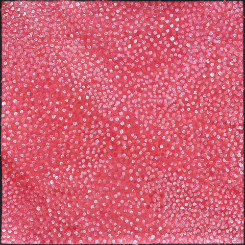 Josie Josepha Petrick Kemarre TJP831 Bush Flowers and Plum 121cm x 121cm original Australian Aboriginal artwork at Tingari Arts 001