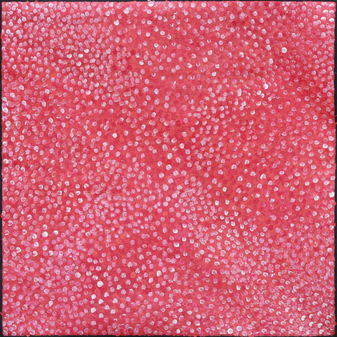 Josie Josepha Petrick Kemarre TJP831 Bush Flowers and Plum 121cm x 121cm original Australian Aboriginal artwork at Tingari Arts 002