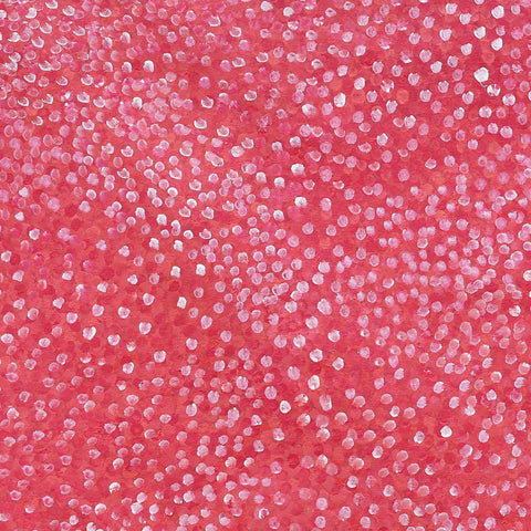 Josie Josepha Petrick Kemarre TJP831 Bush Flowers and Plum 121cm x 121cm original Australian Aboriginal artwork at Tingari Arts detail view