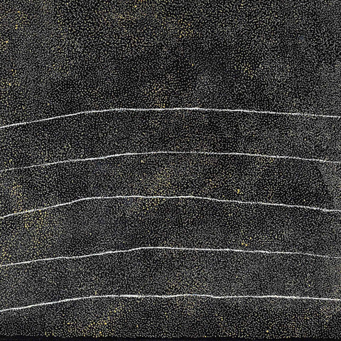 Kathleen Petyarre TKP401 My Country - Bush Seed 121cmx121cm original Australian Aboriginal artwork at Tingari Arts detail view 001