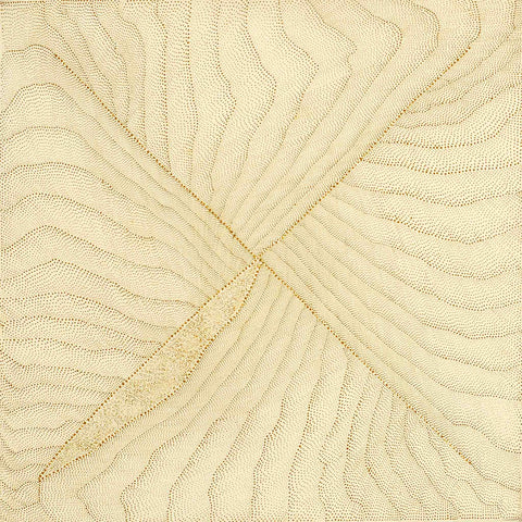 Kathleen Petyarre TKP410 Mountain Devil Lizard Dreaming - Sandhill Country 91cmx91cm original Australian Aboriginal artwork at Tingari Arts view 001