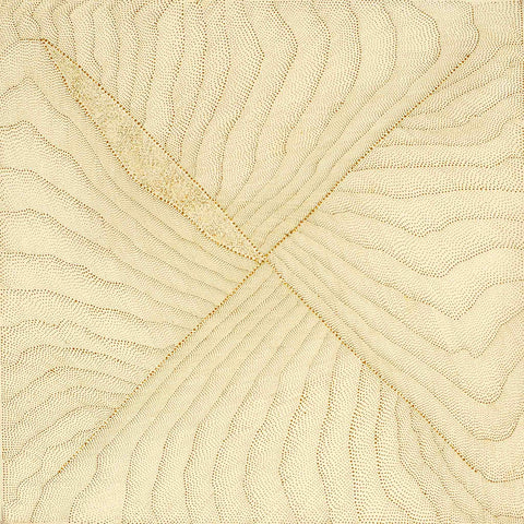 Kathleen Petyarre TKP410 Mountain Devil Lizard Dreaming - Sandhill Country 91cmx91cm original Australian Aboriginal artwork at Tingari Arts view 002