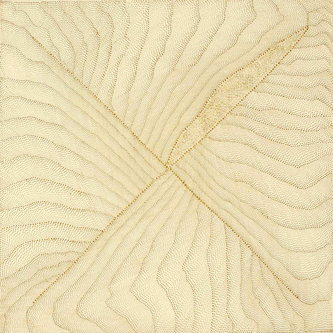 Kathleen Petyarre TKP410 Mountain Devil Lizard Dreaming - Sandhill Country 91cmx91cm original Australian Aboriginal artwork at Tingari Arts view 003