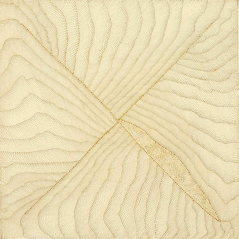 Kathleen Petyarre TKP410 Mountain Devil Lizard Dreaming - Sandhill Country 91cmx91cm original Australian Aboriginal artwork at Tingari Arts view 004