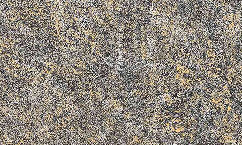 Kathleen Petyarre TKP501 My Country - Bush Seeds 153cm x 91cm original Australian Aboriginal artwork at Tingari Arts detail view