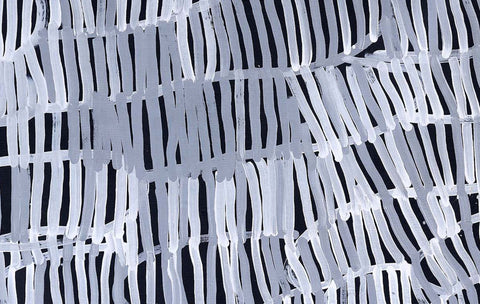 Minnie Pwerle TMPW5011 Awelye Atnwengerrp (Women's Ceremony) 153cmx91cm original Australian Aboriginal artwork at Tingari Arts detail view