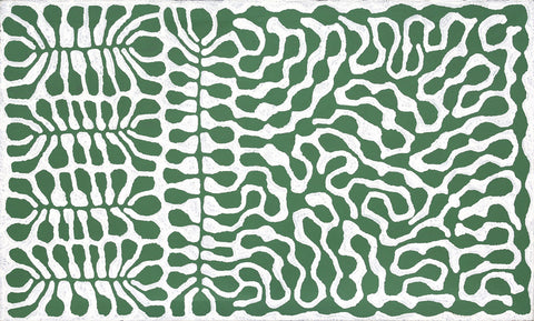Mitjili Napurrula TMN303 Watiya 153cm x 91cm original Australian Aboriginal artwork at Tingari Arts horizontal view