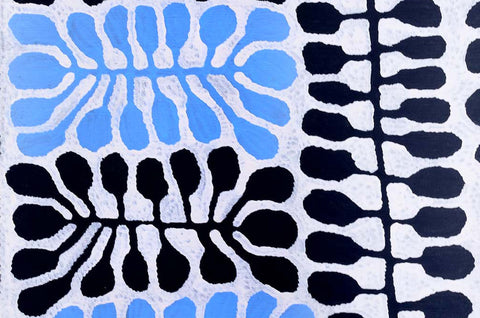 Mitjili Napurrula TMN316 Watiya 121cmx91cm original Australian Aboriginal artwork at Tingari Arts detail view