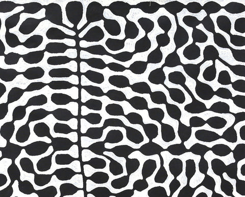 Mitjili Napurrula TMN423 Watiya 153cmx121cm original Australian Aboriginal artwork at Tingari Arts detail view