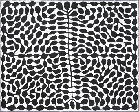 Mitjili Napurrula TMN423 Watiya 153cmx121cm original Australian Aboriginal artwork at Tingari Arts horizontal view