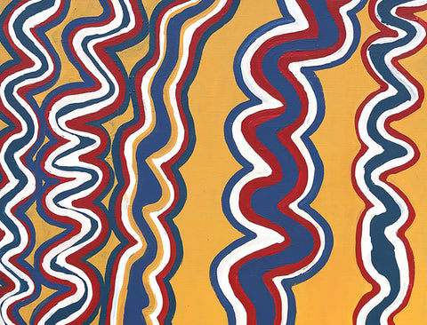 Narputta Nangala KNN02044 Lake MacDonald Range 121cmx91cm original Australian Aboriginal artwork at Tingari Arts detail view