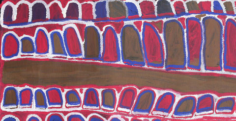 Karrkurutinytja – My Father’s Country | 100cm x 50cm | TNN 502