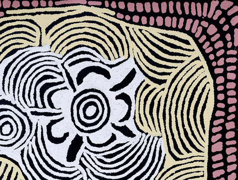 Ningura Napurrula TNIN305 Women's Ceremony 121cm x 91cm original Australian Aboriginal artwork at Tingari Arts detail view 001